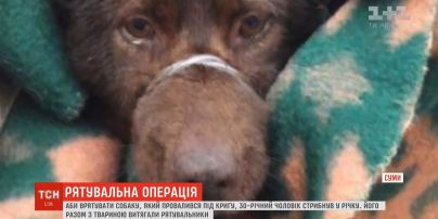 Мужчина едва не погиб, спасая собаку из ледяной воды