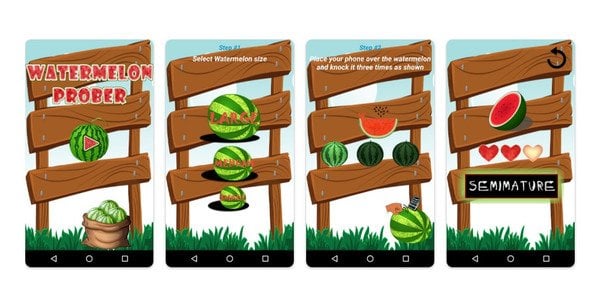 Приложение Watermelon Prober