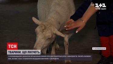 У Кропивницькому волонтери організували кінний клуб для реабілітації дітей з інвалідністю
