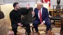 Володимир Зеленський і Дональд Трамп.