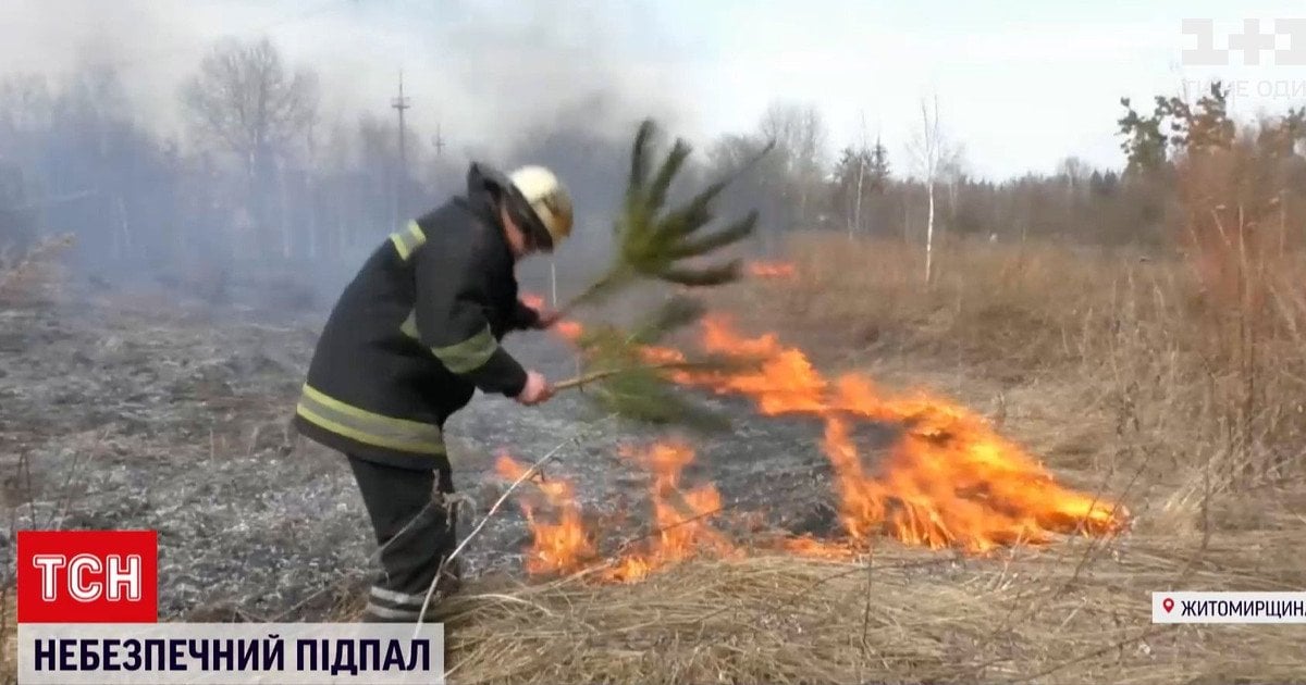 Випалювання сухої трави