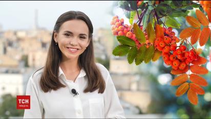 Сигналы с неба, которые заставляют напрячься - метеозависимость
