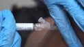 У большинства людей инфекция протекает бессимптомно
