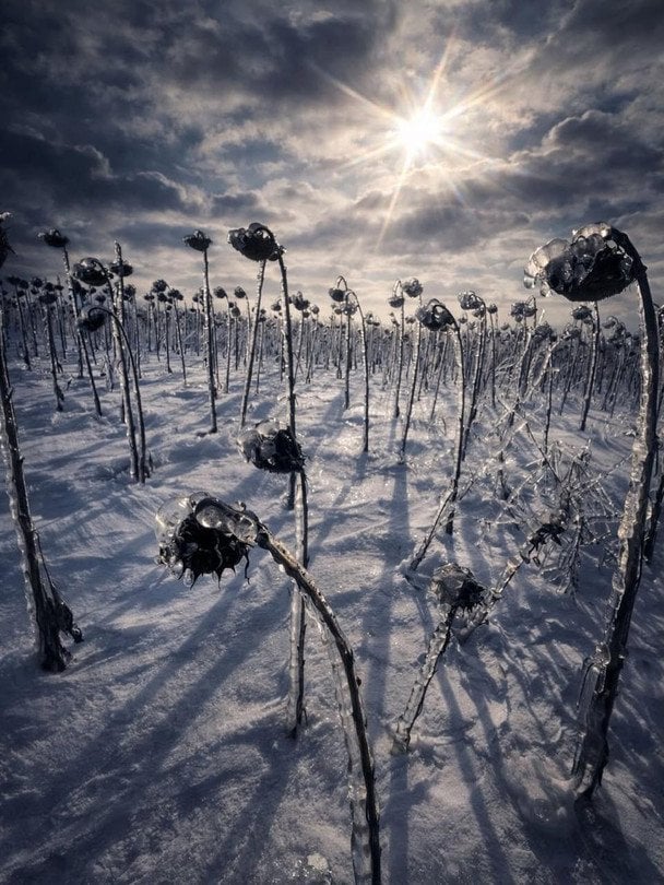 Фото з фронту / Борис Долина