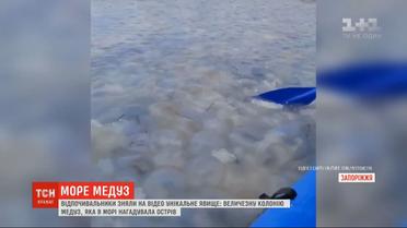 Острів з медуз: у Бердянську відпочивальники зафільмували аномальне явище