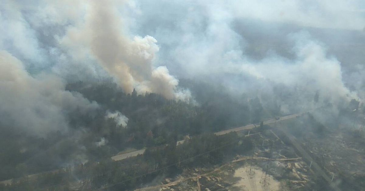 У Чорнобильській зоні горять ліси: площа пожежі збільшилась