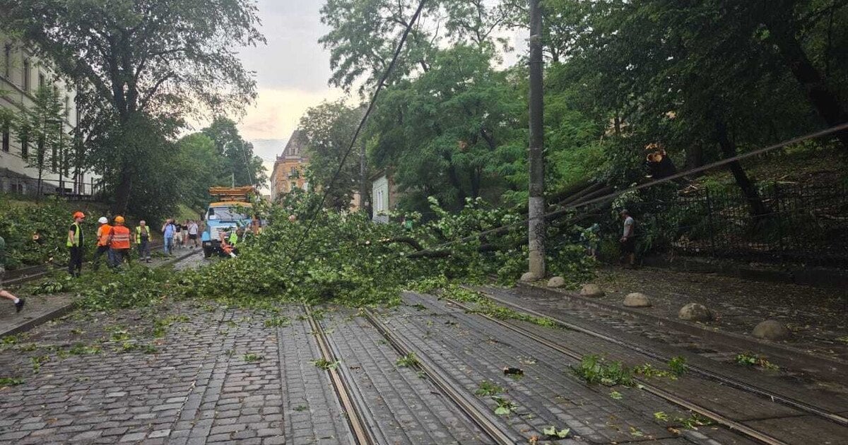Наслідки негоди у Львові