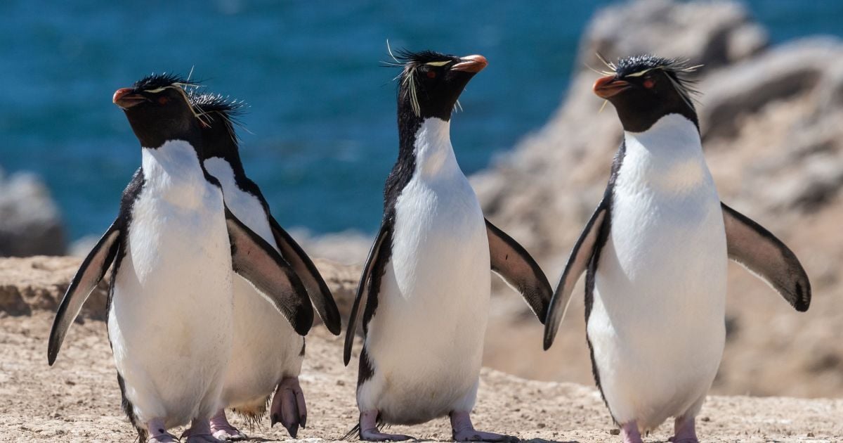 Бен 10 порно комикс