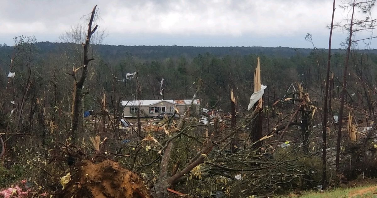 Торнадо в Алабамі_2 / © WSFA news
