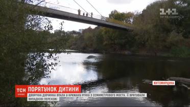 2-летняя девочка упала в ледяную воду с 7-метрового моста