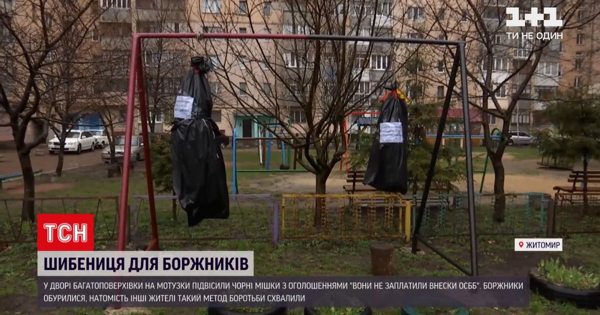 Новости украины: в житомире появилась 