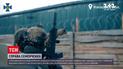 Семена Семенченко объявили в розыск
