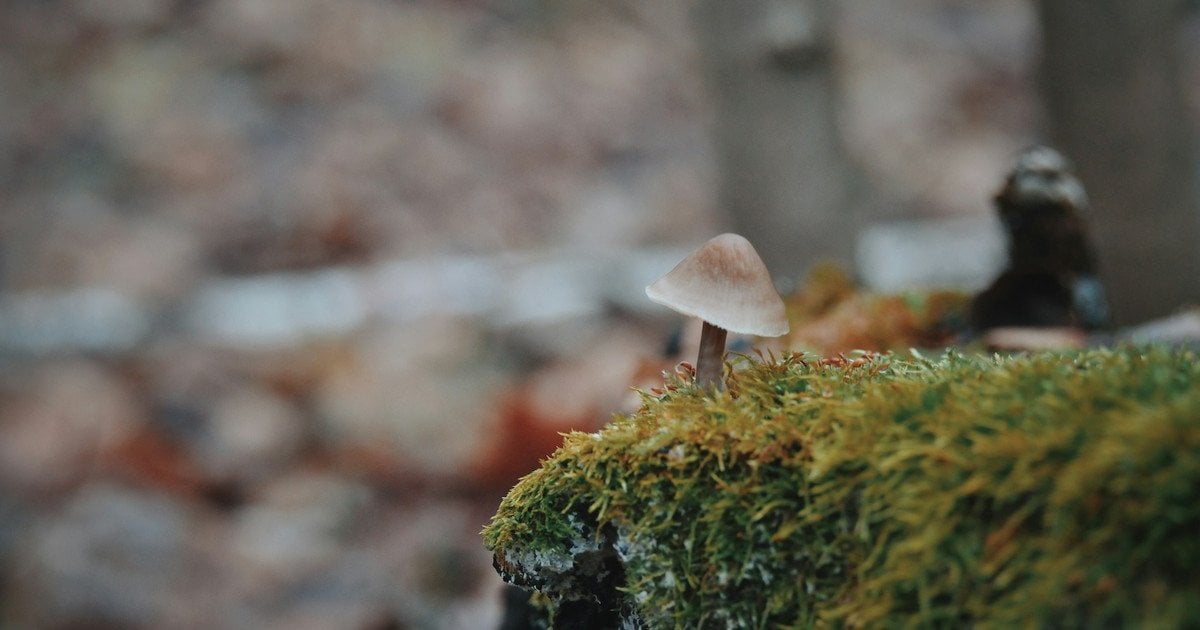 Який сьогодні, 25 листопада, день ангела
