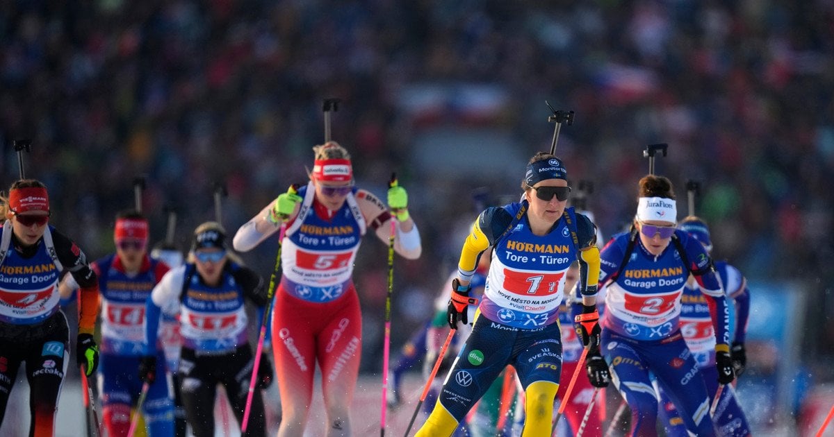 Кубок світу з біатлону