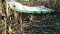 В Житомирской области разбился дельтаплан