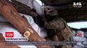 Канада не радить своїм громадянам їхати до України через російську агресію