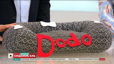 Як зі светра зробити спальне місце для домашнього улюбленця