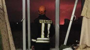 врятовані коти після прильоту в Києві_6 / © Kyiv Animal Rescue Group