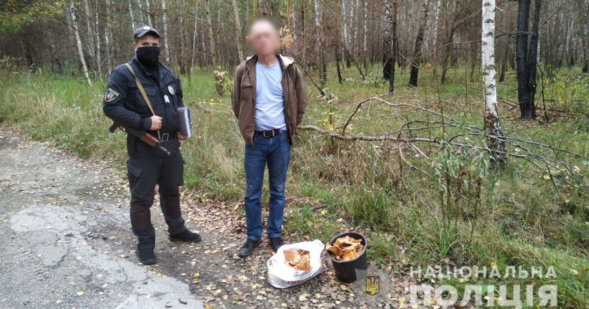 Мужчина собрал в зоне ЧАЭС 8 килограммов радиоактивных грибов