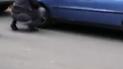 Спустил колеса и ударил мужчину: в Чернигове нардеп устроил драку (видео)