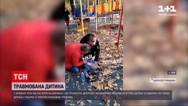 Новости Украины: в Кривом Роге на детской площадке упала большая ветка и травмировала ребенка