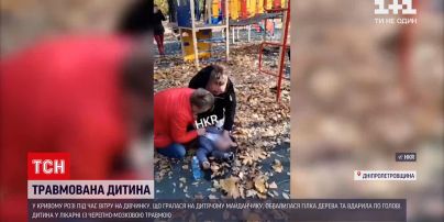 Новини України: у Кривому Розі на дитячому майданчику впала велика гілка і травмувала дитину