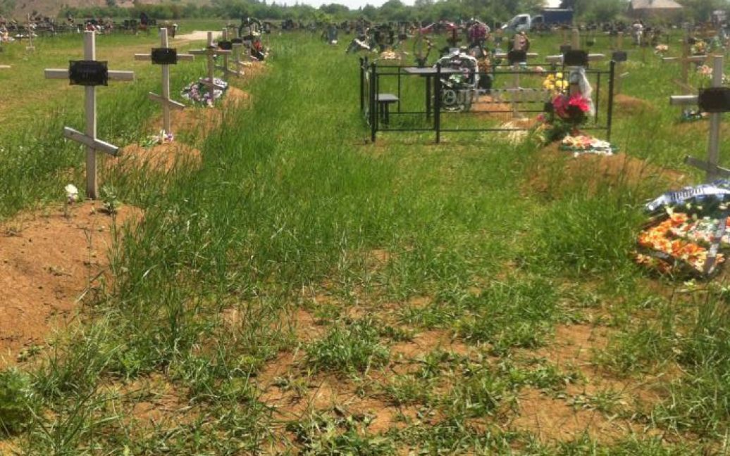 Безымянные могилы погибших на Донбассе боевиков "ДНР" / © vk.com/ДНР и ЛНР без цензуры