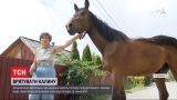 Зоозащитники: жительница Винницы морит голодом собственного коня