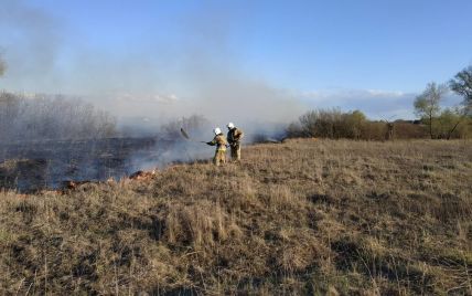 В Полтавской области вспыхнуло 11 пожаров: уничтожено 30 га сухой травы и 200 кв. м мусора