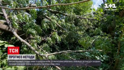 Погода в Україні: дощитиме на Заході, в Вінницькій, Житомирській та Одеській областях