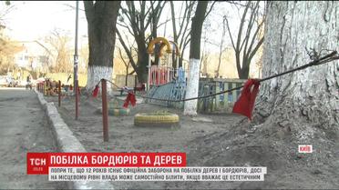 Попри офіційну заборону, влада продовжує масово білити дерева та бордюри