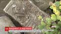 В Черновцах во время ремонта помещения военные нашли сотни еврейских надгробий