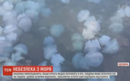 Опасные медузы-корнероти атаковали побережье Черного моря в Одессе