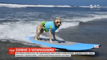Фестиваль серфингистов, которые покоряли волны вместе с любимцами, состоялся в США