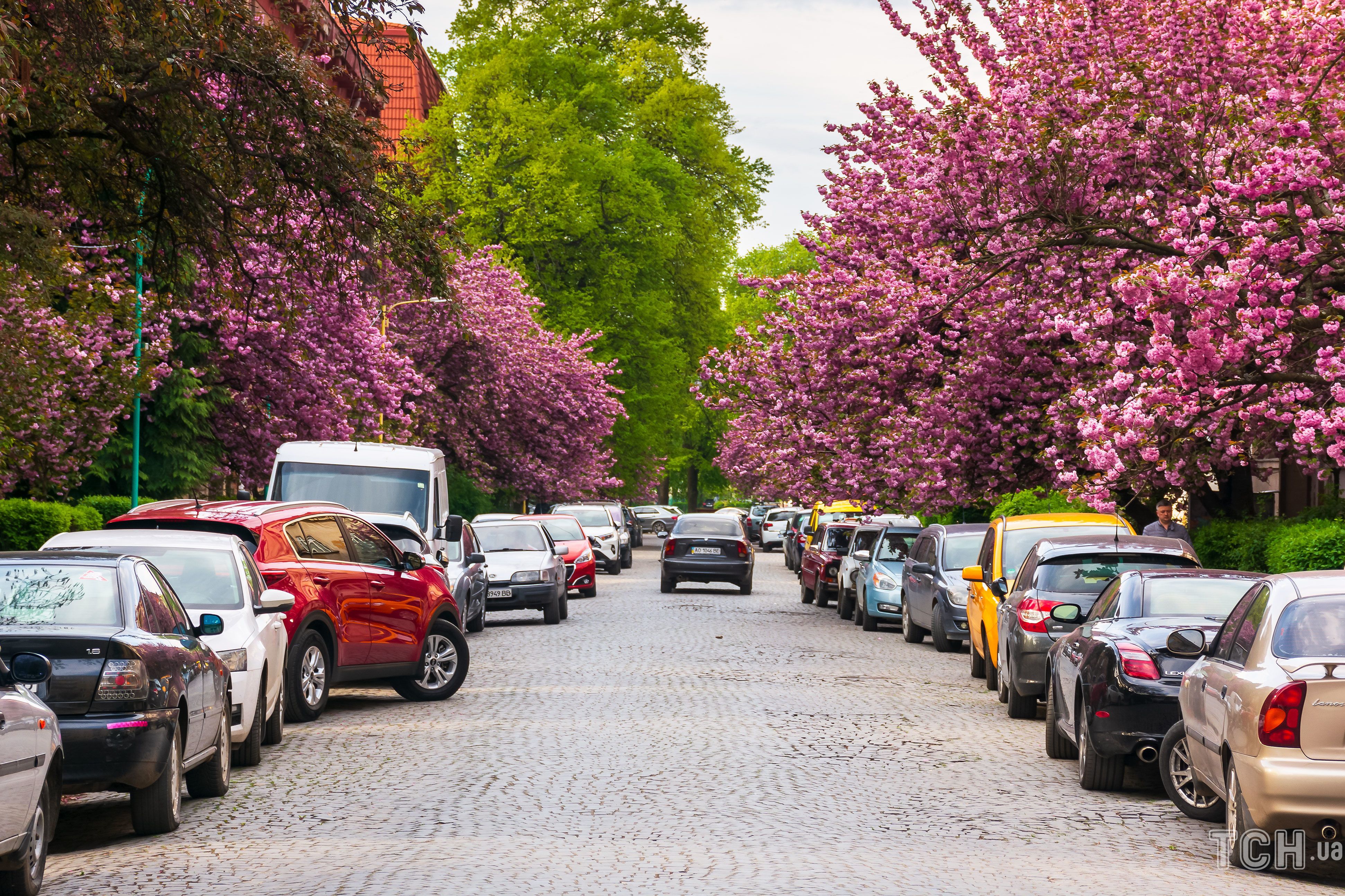 Ужгород / © Credits