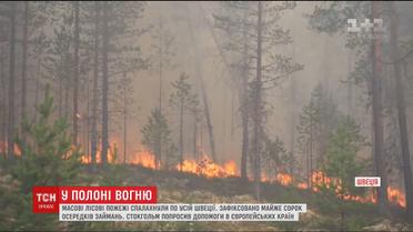 Від полярного кола до Балтійського моря. Масові лісові пожежі спалахнули у Швеції