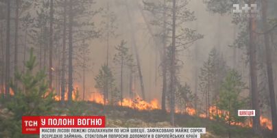 Від полярного кола до Балтійського моря. Масові лісові пожежі спалахнули у Швеції