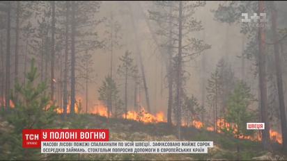 От полярного круга до Балтийского моря. Массовые лесные пожары вспыхнули в Швеции