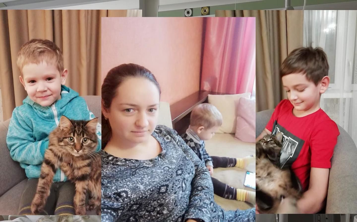 Yirtilgan mushuk (faqat fotosurat)