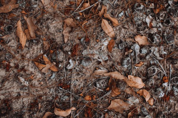  / © Pexels