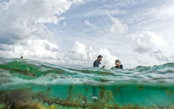  / © nature.org