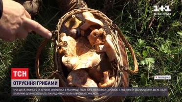 Трое детей попали в реанимацию после того, как поужинали сыроежками