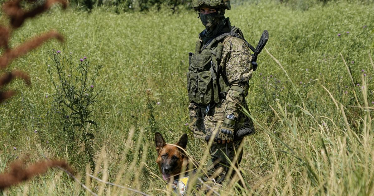 В Киевской области могут раздаваться взрывы: названы район и причина