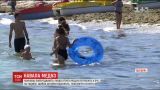 В Одессе призывают отдыхающих быть осторожными из-за атаки опасных медуз