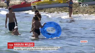 В Одессе призывают отдыхающих быть осторожными из-за атаки опасных медуз