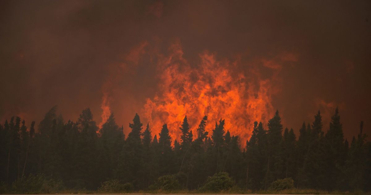 Аномальная жара: в Канаде возросло число лесных пожаров
