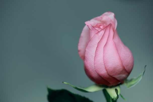 День ангела 20 июня – душевные поздравления в прозе / © Unsplash