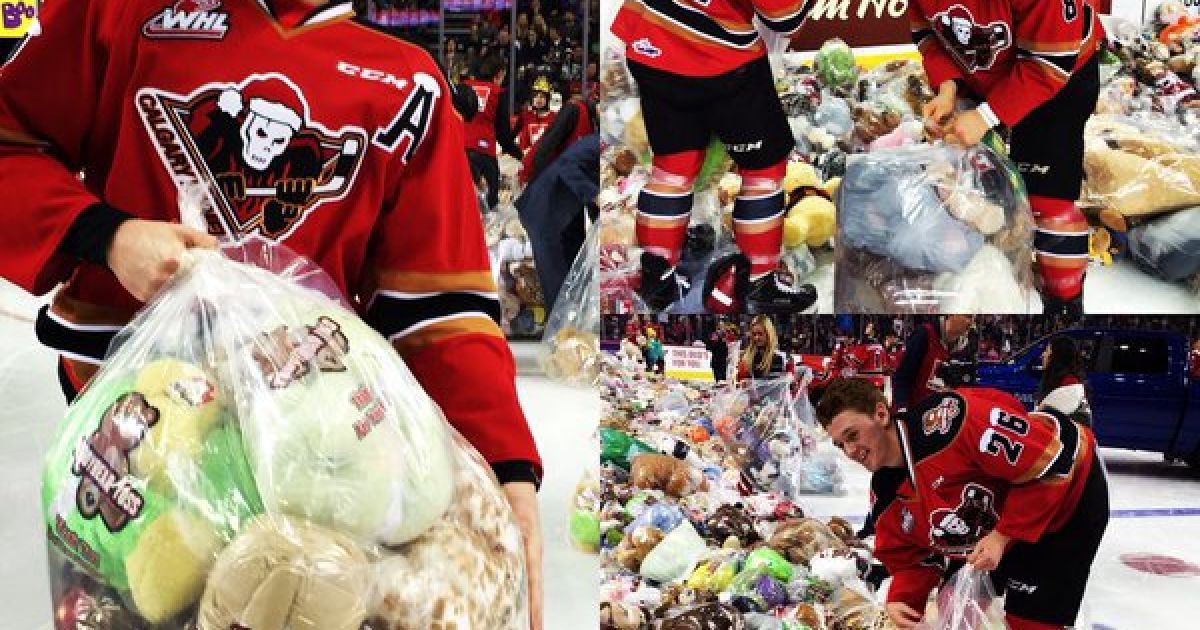 Teddy Bear Toss 2015 зібрав 28,815 тисяч плюшевих ведмедиків. / © twitter.com/WHLHitmen