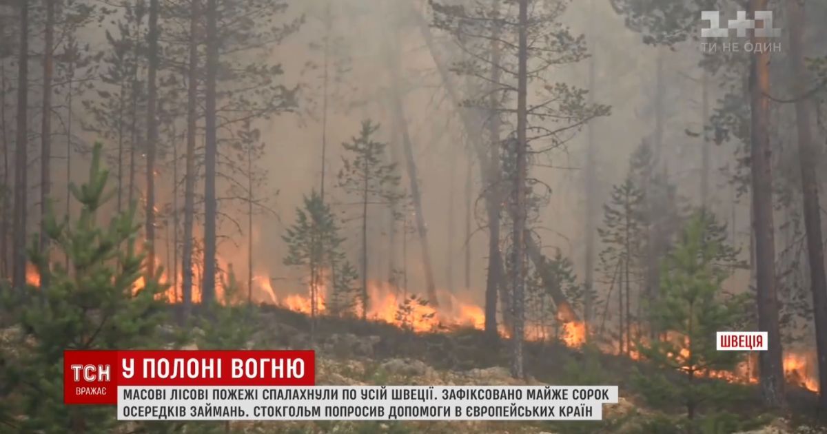 У Швеції горять ліси від полярного кола до Балтики