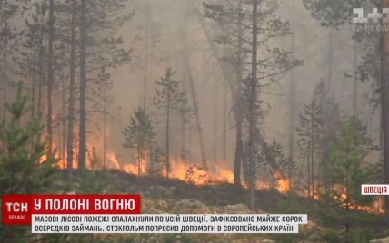 У Швеції горять ліси від полярного кола до Балтики